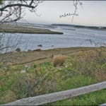 View over a split rail fence of water and grassy shoreline