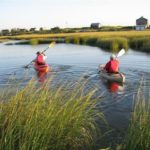 Two people in kayaks holding oars paddling through the water surrounded by seagrass