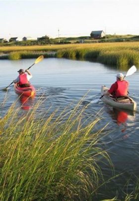 Two people in kayaks holding oars paddling through the water surrounded by seagrass
