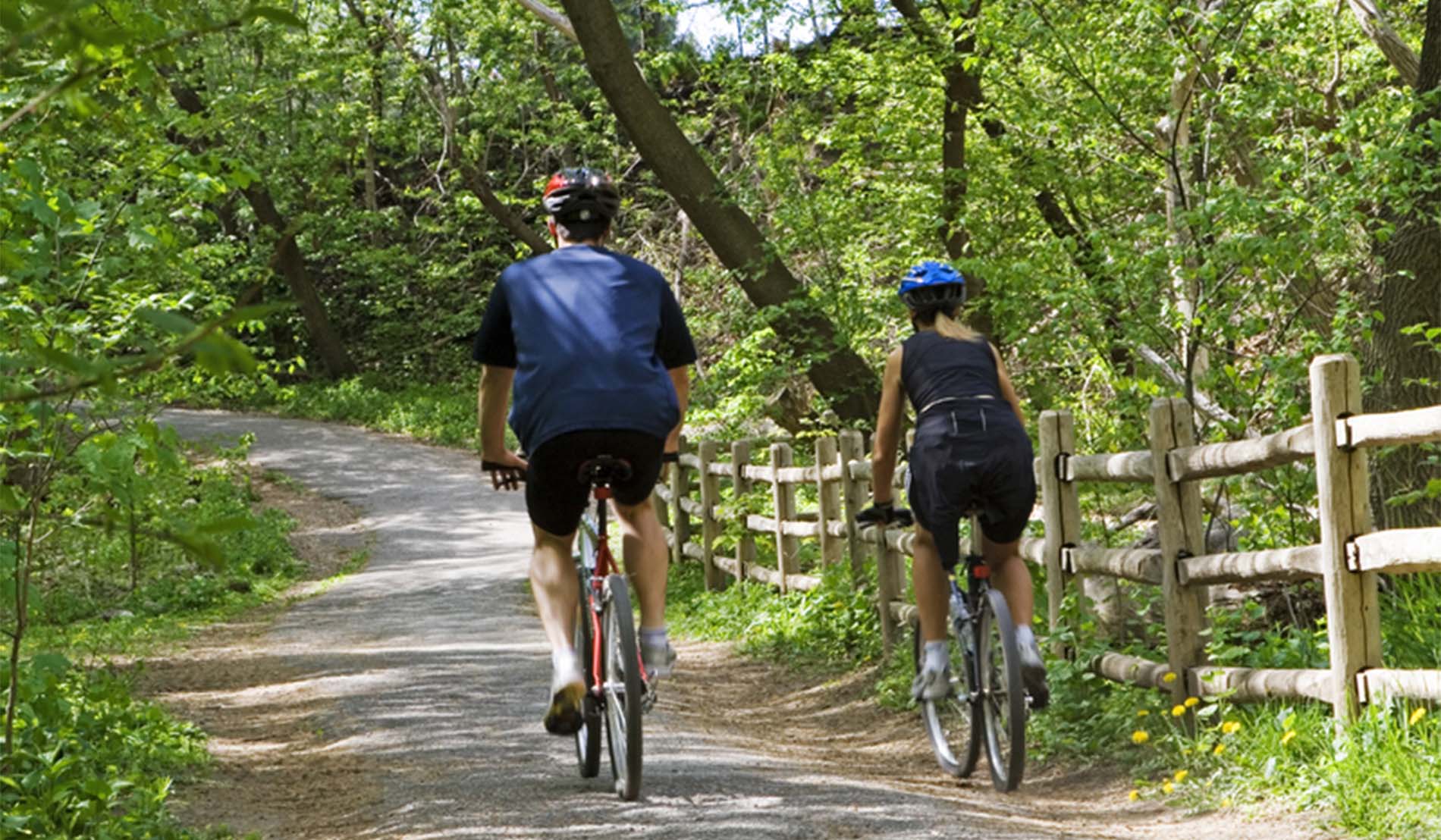 Man and woman wearing helmets on bicycles riding down a tree lined path