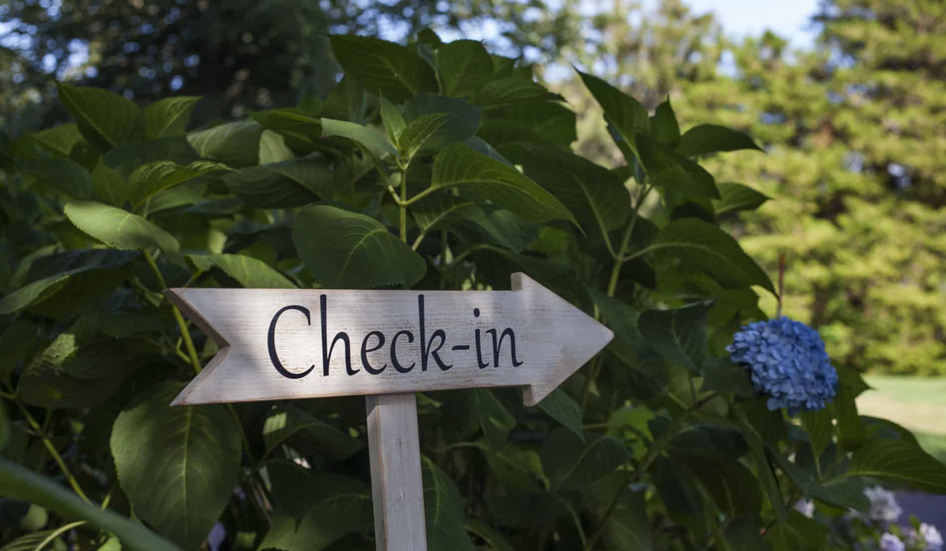 Wooden arrow shaped sign that says "Check-in" in front of a blue hydrangea bush