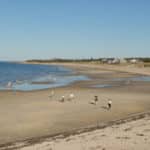 Distant view of people walking on a sandy beach while the tide is out