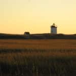 Meadow of sea grass with a lighthouse in the distance and pale yellow skies