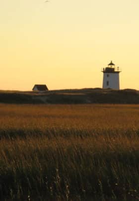 Meadow of sea grass with a lighthouse in the distance and pale yellow skies