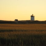 Meadow of grass with lighthouse in the distance and pale yellow skies