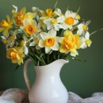 A beautiful bouquet of white, orange, and yellow daffodils in a white watering vase in front of a dark green background.