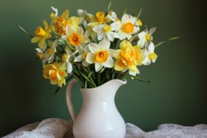 A beautiful bouquet of white, orange, and yellow daffodils in a white watering vase in front of a dark green background.