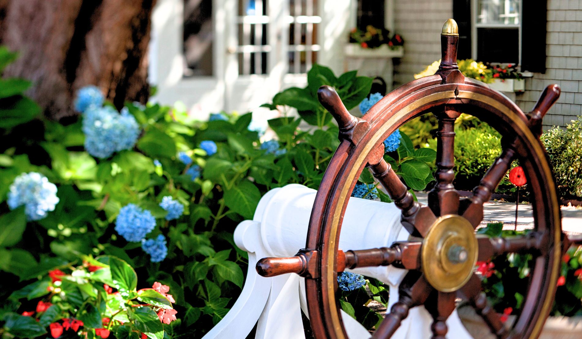 Blue hydrangeas blooming at Captain’s House Inn