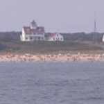 View over the water toward the shore with a few white buildings with red roofs in the background